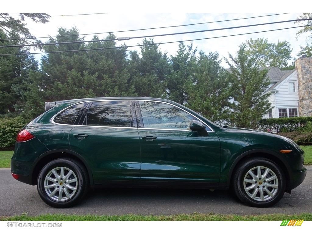 2014 Cayenne  - Jet Green Metallic / Luxor Beige photo #7