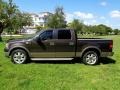 Dark Stone Metallic - F150 King Ranch SuperCrew Photo No. 3