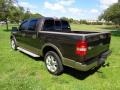 Dark Stone Metallic - F150 King Ranch SuperCrew Photo No. 5