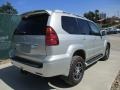 Silver Pine Metallic - GX 470 Photo No. 4