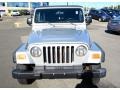 2004 Bright Silver Metallic Jeep Wrangler X 4x4  photo #2