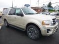 White Gold 2017 Ford Expedition EL XLT 4x4 Exterior