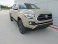 Quicksand - Tacoma SR5 Double Cab 4x4 Photo No. 1