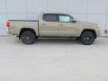 Quicksand - Tacoma SR5 Double Cab 4x4 Photo No. 3