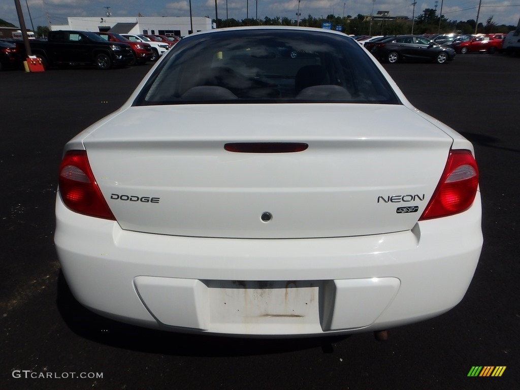 2004 Neon SXT - Stone White / Dark Slate Gray photo #3