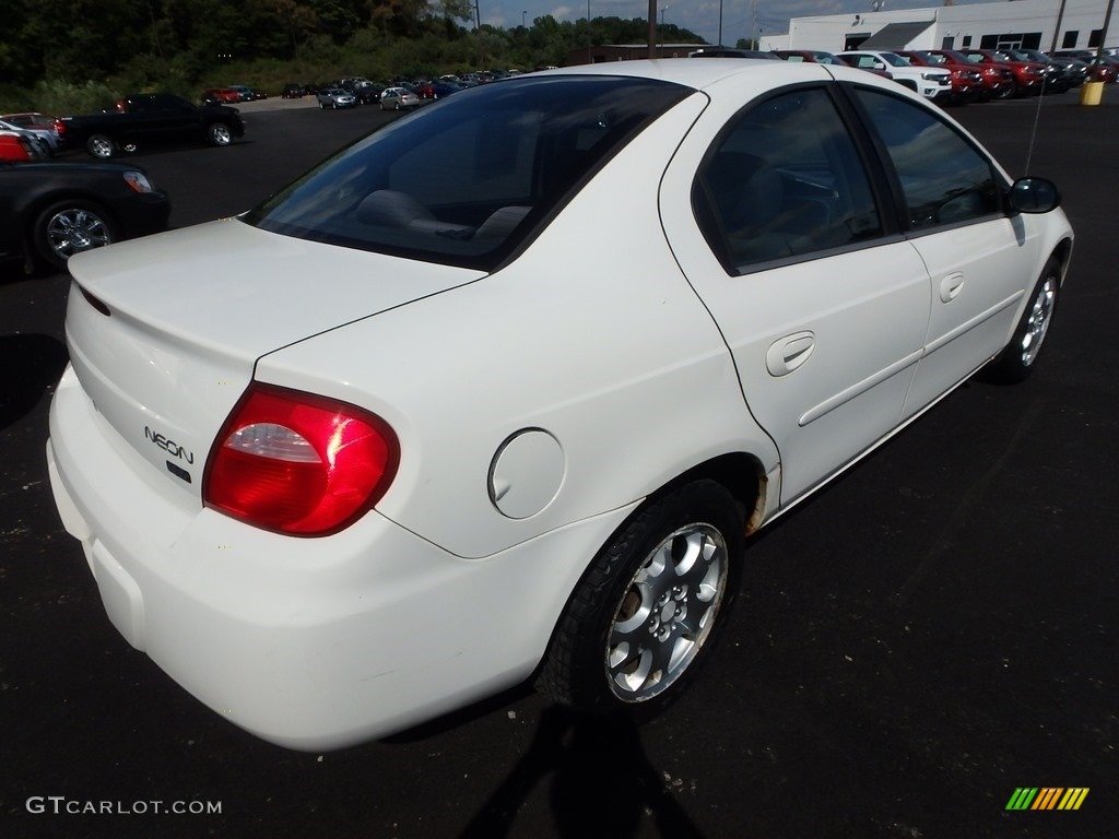 2004 Neon SXT - Stone White / Dark Slate Gray photo #4