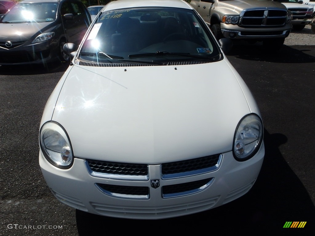 2004 Neon SXT - Stone White / Dark Slate Gray photo #6