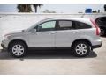 Whistler Silver Metallic - CR-V EX-L Photo No. 10