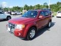 Toreador Red Metallic 2012 Ford Escape Limited V6 4WD