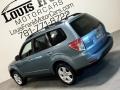 Sage Green Metallic - Forester 2.5 X Premium Photo No. 22