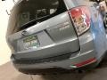 Sage Green Metallic - Forester 2.5 X Premium Photo No. 27