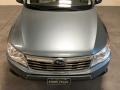 Sage Green Metallic - Forester 2.5 X Premium Photo No. 39