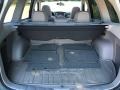 Sage Green Metallic - Forester 2.5 X Premium Photo No. 83