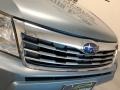Sage Green Metallic - Forester 2.5 X Premium Photo No. 88