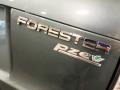 Sage Green Metallic - Forester 2.5 X Premium Photo No. 102