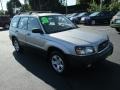 Crystal Gray Metallic - Forester 2.5 X Photo No. 4