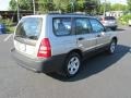 Crystal Gray Metallic - Forester 2.5 X Photo No. 6