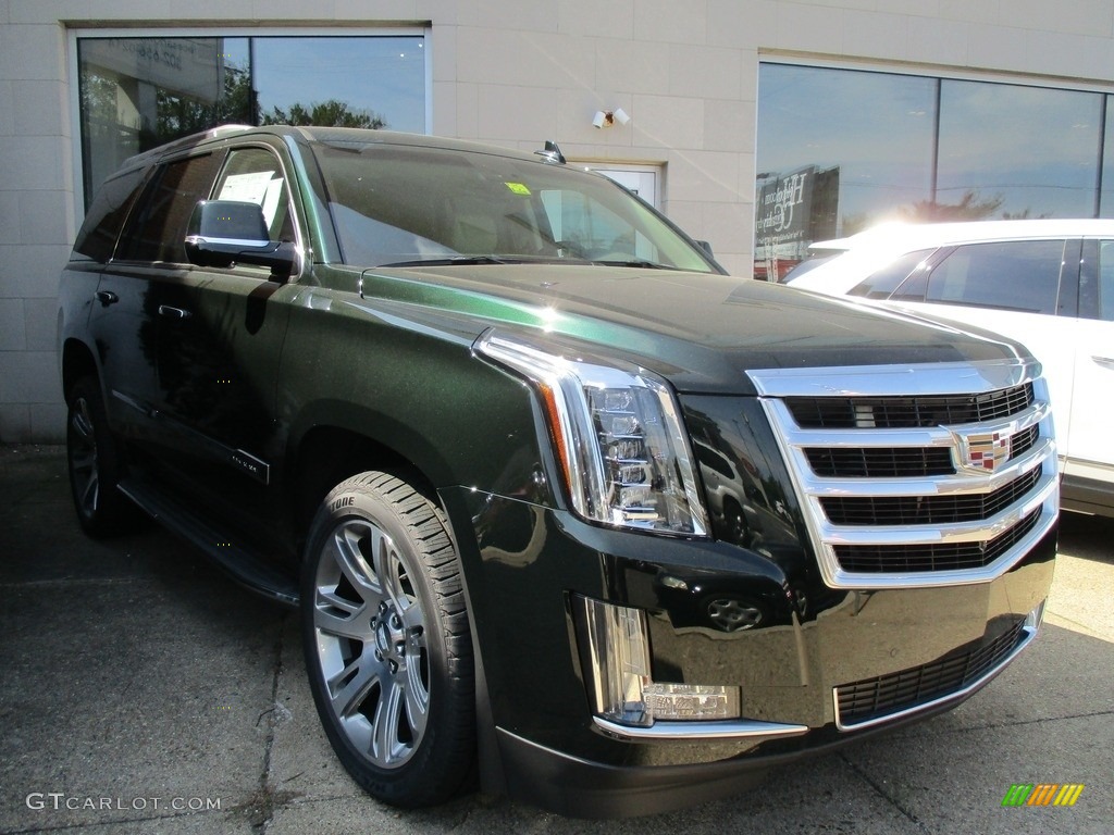 2016 Escalade Luxury 4WD - Dark Emerald Metallic / Shale/Cocoa photo #3