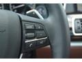 2016 BMW 5 Series Mocha Interior Controls Photo
