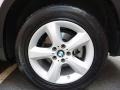Titanium Silver Metallic - X5 3.0si Photo No. 30