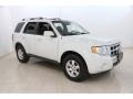 2010 White Suede Ford Escape Limited  photo #1