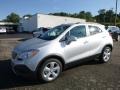 Quicksilver Metallic - Encore  Photo No. 1