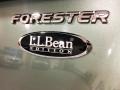 Evergreen Metallic - Forester 2.5 X L.L.Bean Edition Photo No. 53