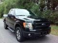 Tuxedo Black Metallic - F150 STX Regular Cab 4x4 Photo No. 4