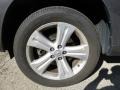 Magnetic Gray Metallic - Highlander Limited 4WD Photo No. 7