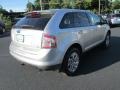Ingot Silver Metallic - Edge SEL AWD Photo No. 6