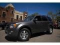 Sterling Grey Metallic 2010 Ford Escape Limited 4WD