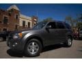 2010 Sterling Grey Metallic Ford Escape Limited 4WD  photo #1