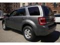 2010 Sterling Grey Metallic Ford Escape Limited 4WD  photo #4