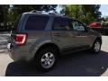 2010 Sterling Grey Metallic Ford Escape Limited 4WD  photo #7