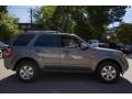 2010 Sterling Grey Metallic Ford Escape Limited 4WD  photo #8