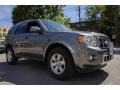 2010 Sterling Grey Metallic Ford Escape Limited 4WD  photo #9