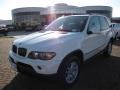 Alpine White - X5 3.0i Photo No. 1