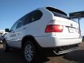 Alpine White - X5 3.0i Photo No. 3