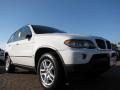 Alpine White - X5 3.0i Photo No. 7