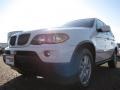 Alpine White - X5 3.0i Photo No. 9