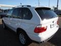 Alpine White - X5 3.0i Photo No. 11
