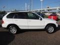 Alpine White - X5 3.0i Photo No. 14