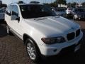 Alpine White - X5 3.0i Photo No. 15