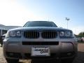 Silver Grey Metallic - X3 3.0i Photo No. 8