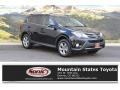 Black - RAV4 XLE Photo No. 1