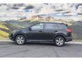 Black - RAV4 XLE Photo No. 6