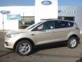 2017 White Gold Ford Escape SE 4WD  photo #1