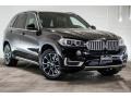 2017 Jet Black BMW X5 sDrive35i  photo #12