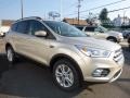 2017 White Gold Ford Escape SE 4WD  photo #3