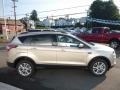 2017 White Gold Ford Escape SE 4WD  photo #4